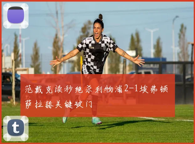 范戴克读秒绝杀利物浦2-1埃弗顿 萨拉赫关键破门
